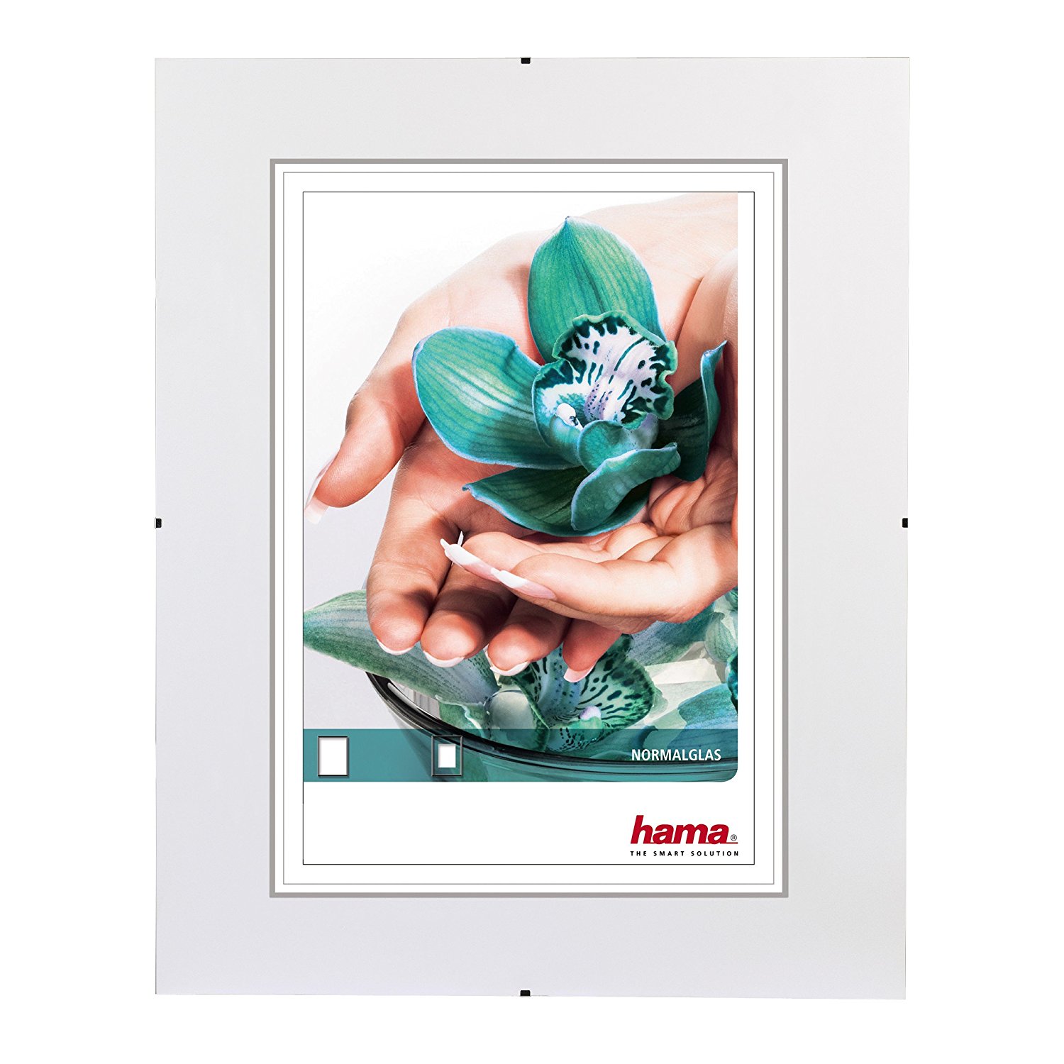 HAM63022
