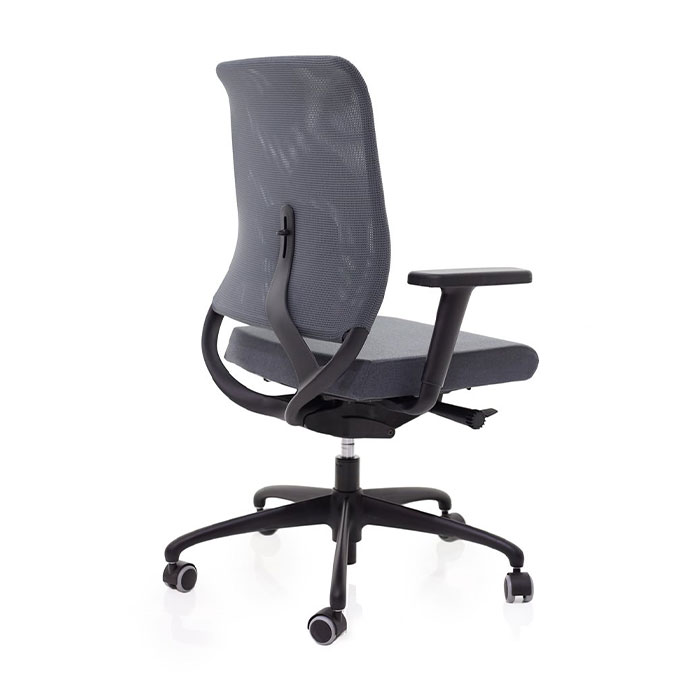 MOVECOCHAIRNZAN